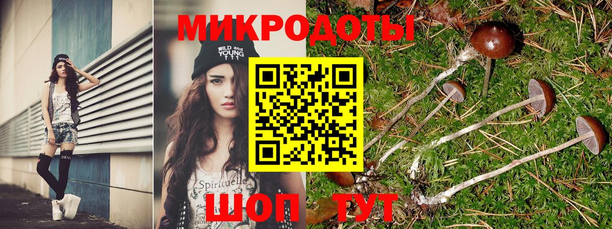 Галлюциногенные грибы Psilocybe  Вход с VPN  Моздок 